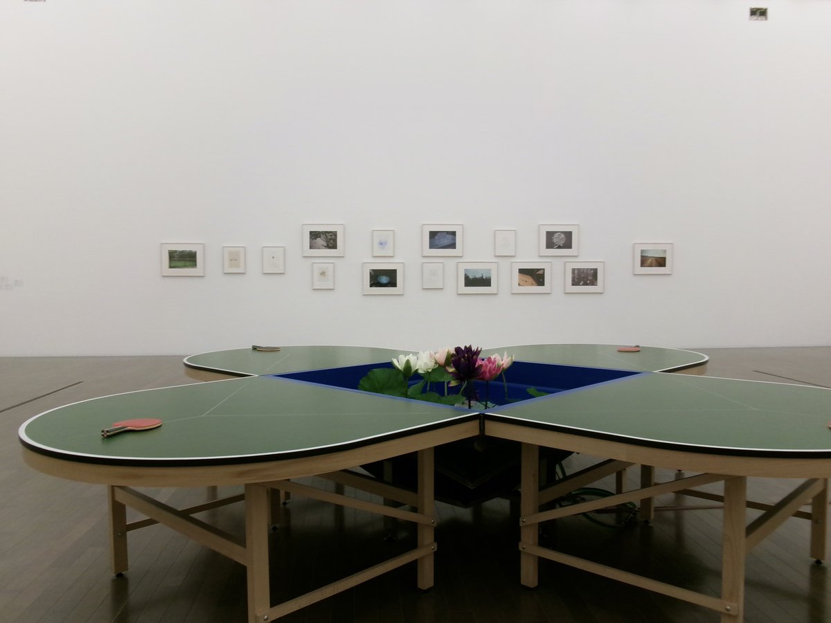 orcalamb's tweet image. ふと思い立ってノリと勢いで前日にカメラを買って良かった
#fz55