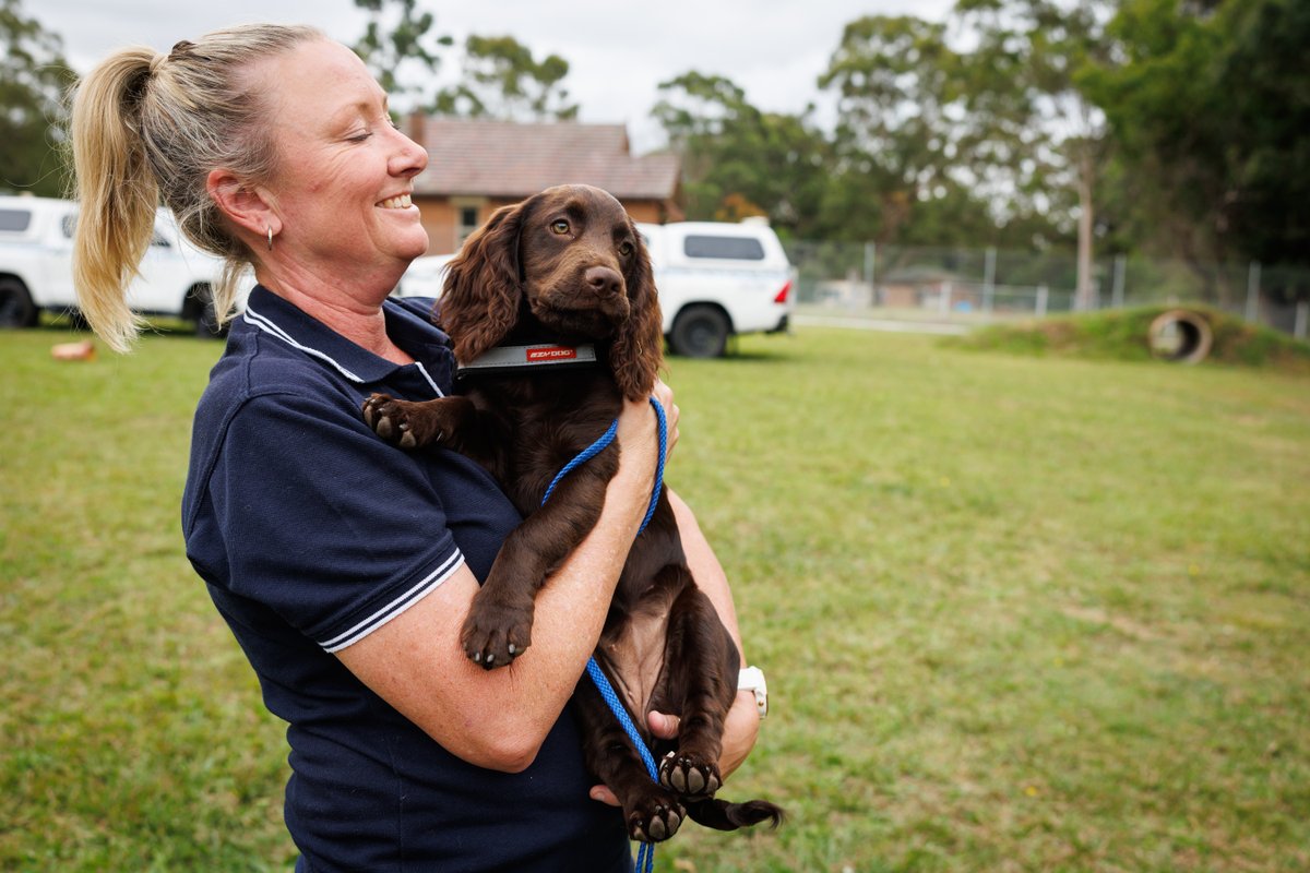 Happy International Dog Day! 🐾

Today is an im-paw-tant day to celebrate the incredible bond we have with our four-legged friends. A special shout out to our dedicated leak detection dogs and their handlers - your trust, teamwork and unwavering connection is truly inspiring!