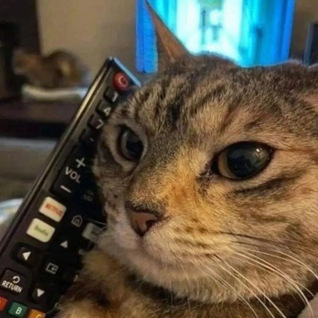 PunchingCat's tweet photo. https://t.co/gqkF51h22M