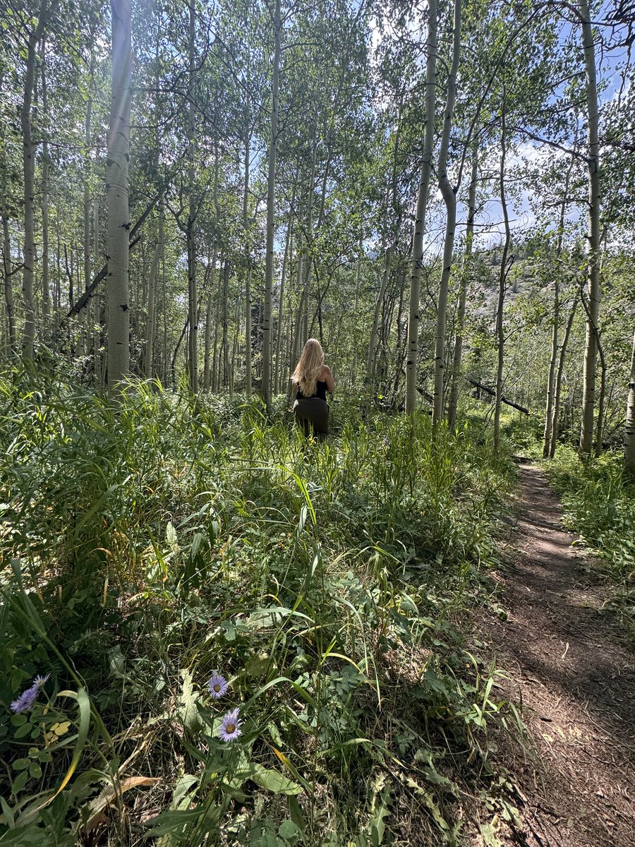naturelover247's tweet image. A beautiful stroll in the woods today. Always the perfect way to clear your mind…#gettinglost #comefindme #forestfreedom #BeautifulWorld