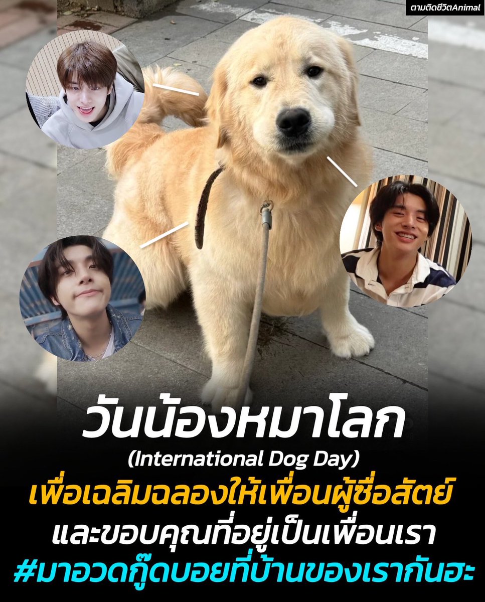 bklhs01's tweet photo. วันน้องหมาโลก https://t.co/gvL1Z469NL