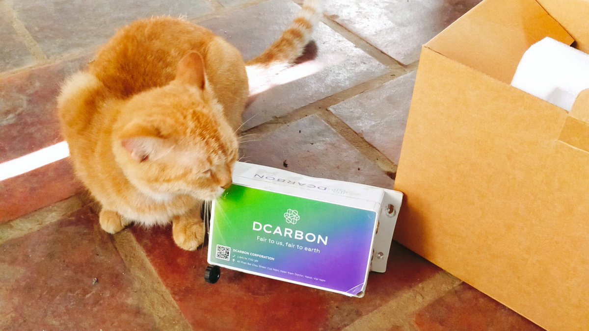 DCarbon 🌱 Decentralized Carbon Registry 🌱 tweet media