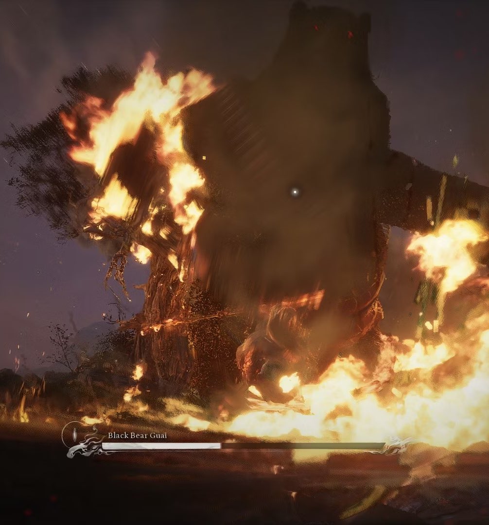 Kry☀️ tweet media