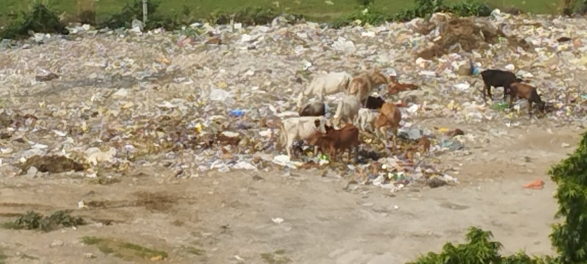 vishalkuma23's tweet photo. @noida_authority : Sector, 120 near prateek laurel and Amrapali zodic side. Pls collect the dump from here. Not pushing the back side as do every time. Everytime Crane comes and only push back, never collect in the dump truck. https://t.co/9qSG7aQUr5