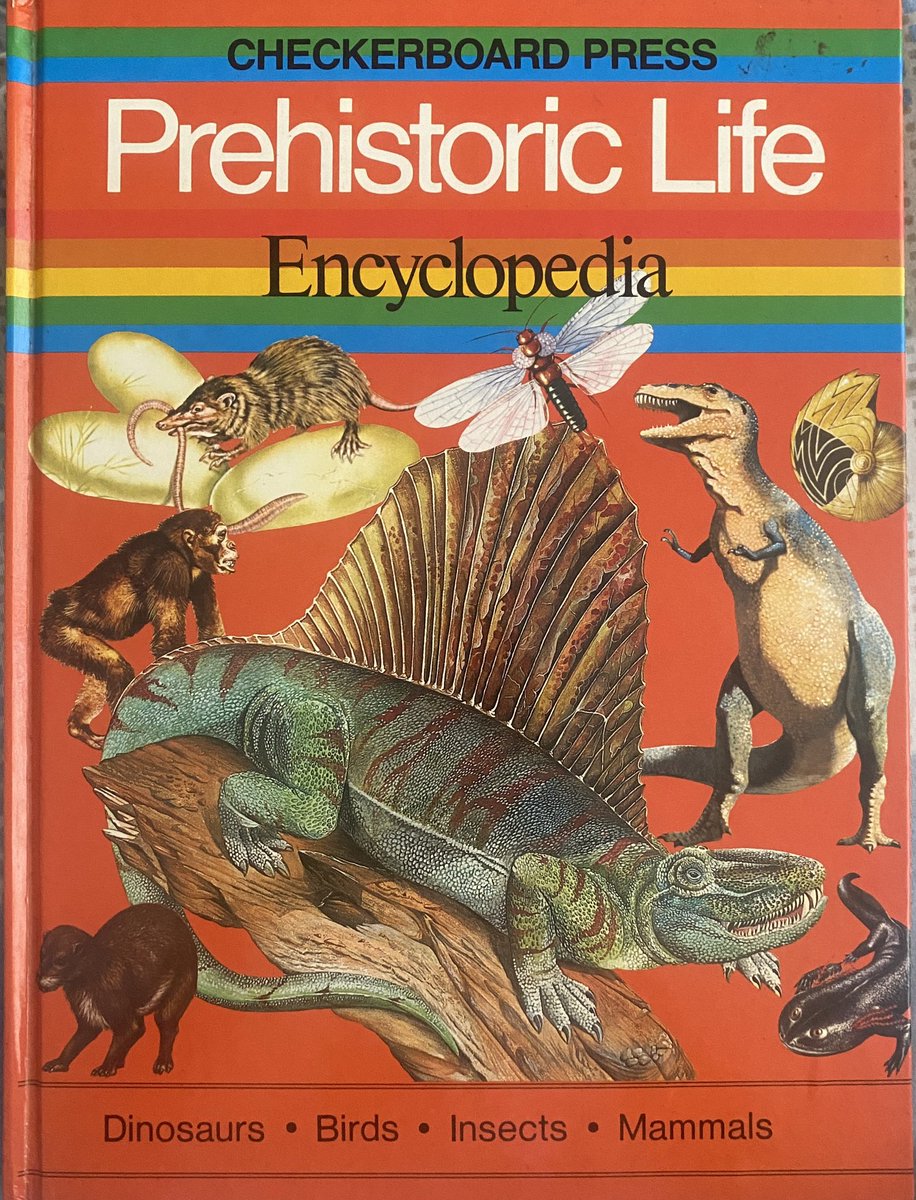 VexingRen tweet media