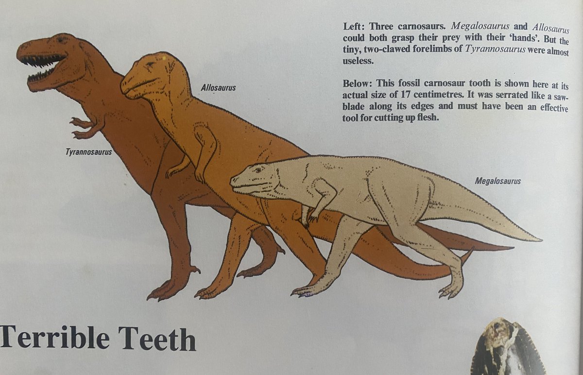 VexingRen tweet media