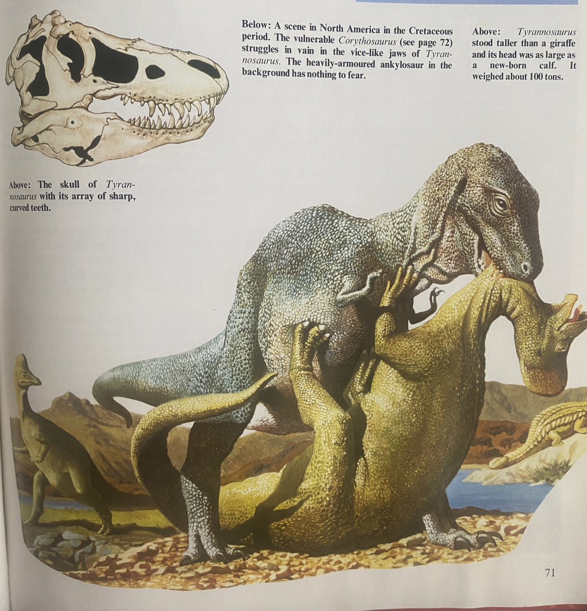 VexingRen tweet media