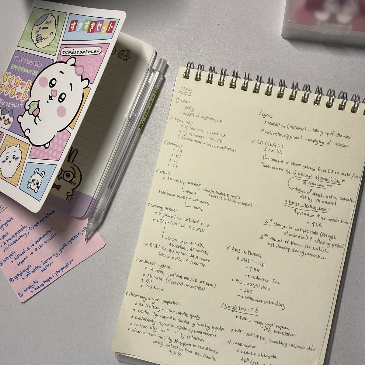 wontonlian's tweet photo. 📑🙇‍♀️ never mind that anki notification, a win is a win :DD https://t.co/iYHKvwdEB2