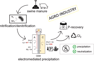 LEQUIA_UdG's tweet photo. New article: Reagent-free phosphorus precipitation from a denitrified swine effluent in a batch electrochemical system
https://t.co/caEtBO4NIr https://t.co/wXu4dyxeZd