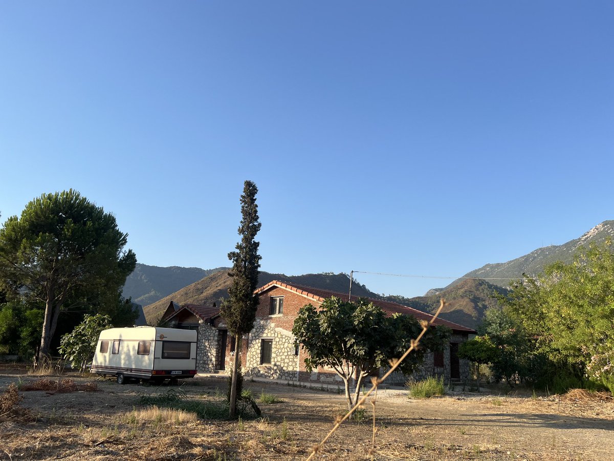 Özge Demet tweet media