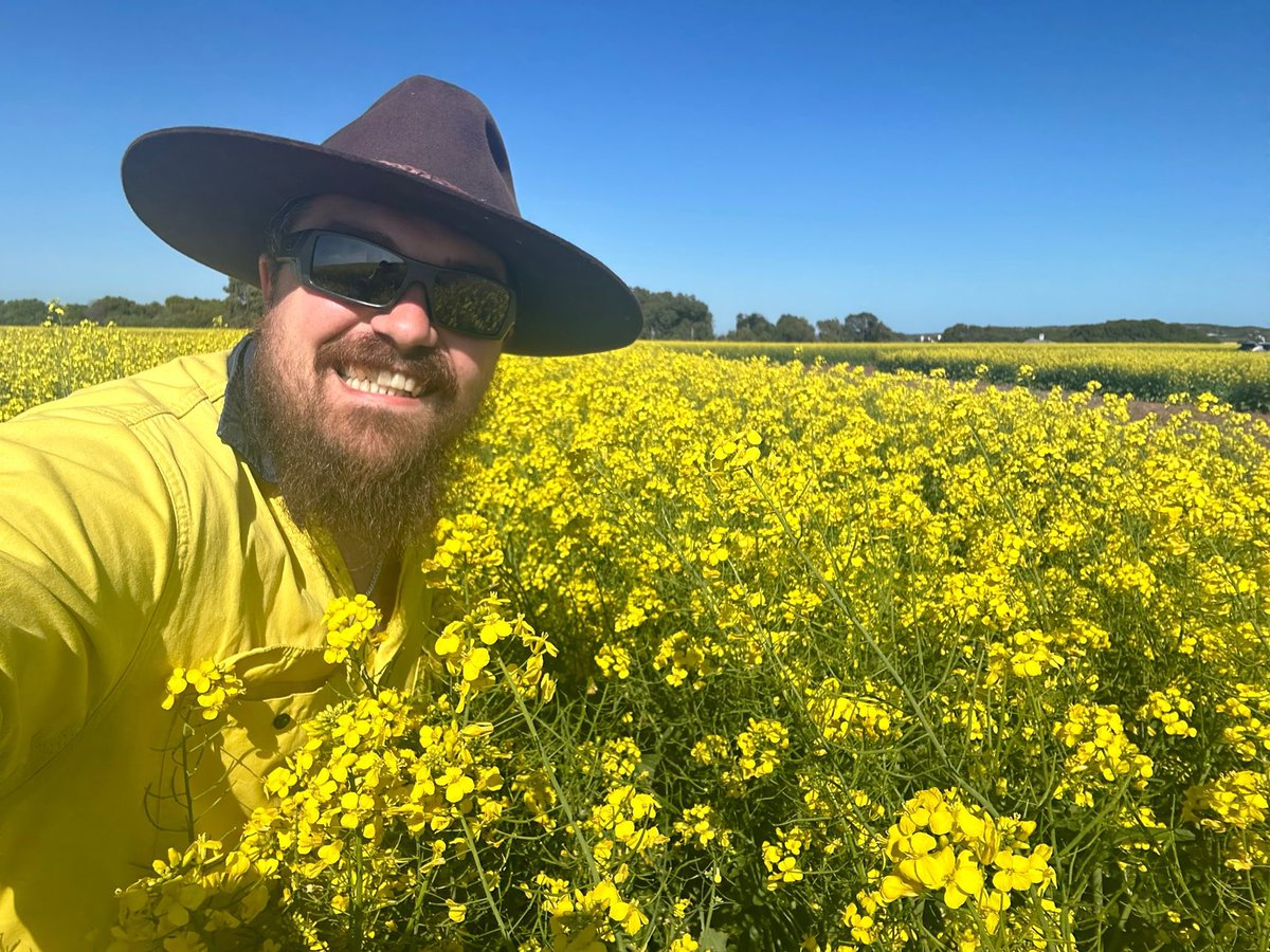 Justin Kudnig (@captaincanola) on Twitter photo Canola Breeder <a href="/PacificSeeds/">Pacific Seeds</a> stoked with the success of #Hyola Regiment XC, “KING REGGIE” he reckons it going to be bigger than Hyola 404RR was for WA growers. Greenough WA NVT. <a href="/AgingAgro/">Andrew Heinrich</a> <a href="/jsawyer97/">Jack Sawyer</a> <a href="/grantcropcircl1/">Grant Thompson</a> <a href="/hurgl1/">Tim Wilmshurst</a> <a href="/LiddleCanolaMan/">Willow Liddle</a> <a href="/Ella201093/">Ella McDonald</a> <a href="/danrollsroyce/">Dan Rolls</a> <a href="/schilgee/">iKarl iSchilg</a> Canola Breeder <a href="/PacificSeeds/">Pacific Seeds</a> stoked with the success of #Hyola Regiment XC, “KING REGGIE” he reckons it going to be bigger than Hyola 404RR was for WA growers. Greenough WA NVT. <a href="/AgingAgro/">Andrew Heinrich</a> <a href="/jsawyer97/">Jack Sawyer</a> <a href="/grantcropcircl1/">Grant Thompson</a> <a href="/hurgl1/">Tim Wilmshurst</a> <a href="/LiddleCanolaMan/">Willow Liddle</a> <a href="/Ella201093/">Ella McDonald</a> <a href="/danrollsroyce/">Dan Rolls</a> <a href="/schilgee/">iKarl iSchilg</a>
