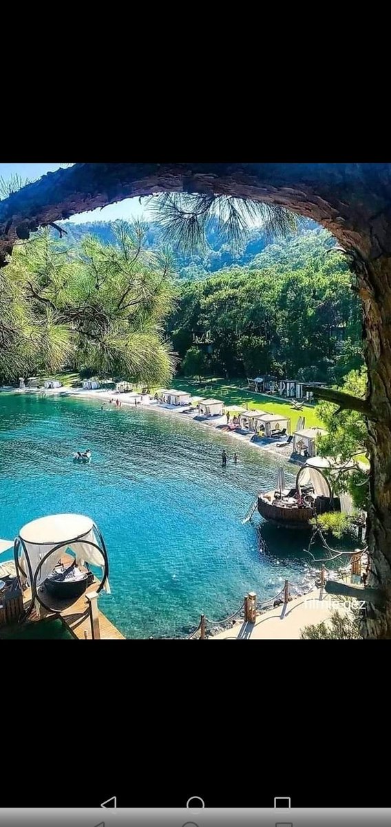 gunaydın yureği guzel tum arkadaşlara roj baş mutlu bir hafta geçirmeniz dileğiyle