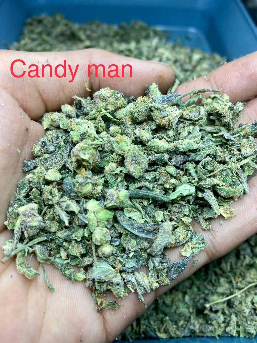Candyman 🌕
เกรด Exotic
THC 38-41% ( INDICA 80% / SATIVA 20% )
❤️กลิ่น  ผลไม้ หวาน แก๊ส
❤️Effect เด่น ผ่อนคลาย คลายปวด อารมณ์ดี ร่าเริง ❤️จินตนาการ หิว หนักตัว หลับสบาย 🌕
เหมาะสำหรับ ดูหนัง ฟังเพลง ปาร์ตี้ พักผ่อน

งานอย่างตึง ชิมแล้วอย่างเมาาาา สนใจสอบถามได้ค่า #กัญชา