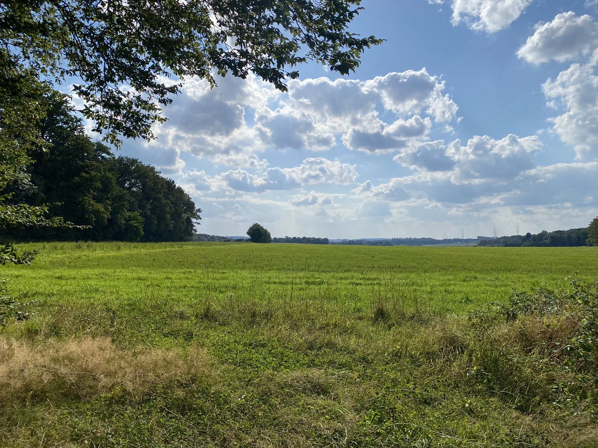 Jean Rodesch 🇪🇺 tweet media