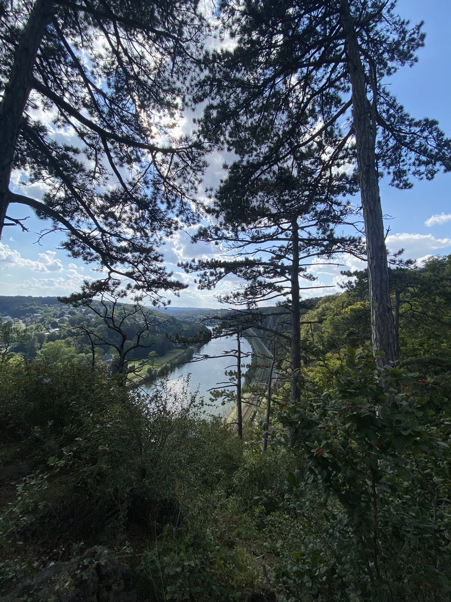 Jean Rodesch 🇪🇺 tweet media