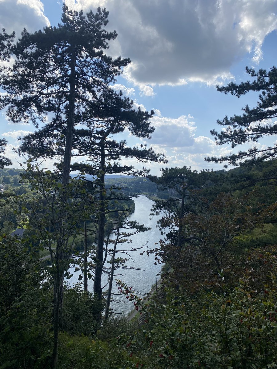 Jean Rodesch 🇪🇺 tweet media