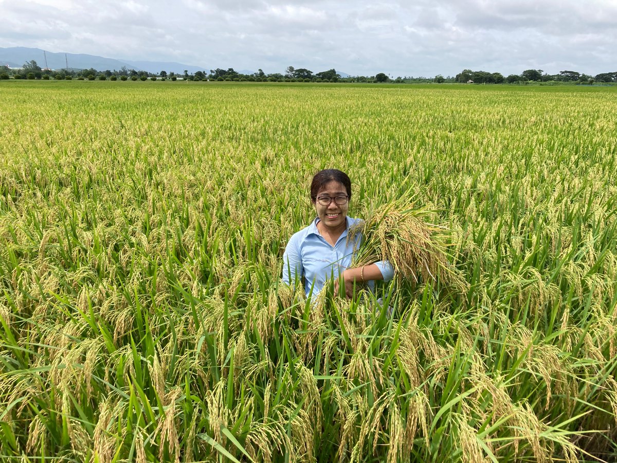 ULRI’s ASEAN-US Science Prize for Women tweet media