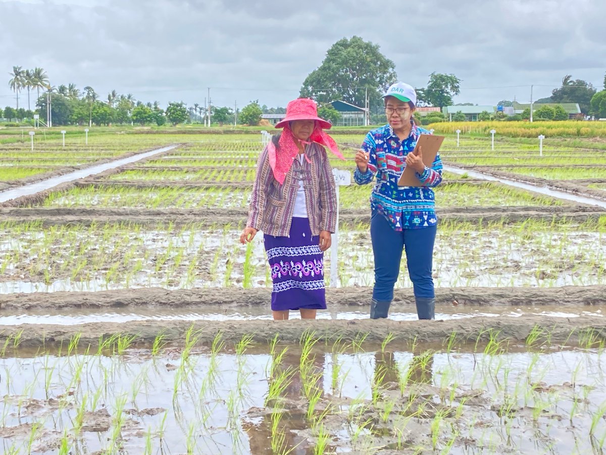 ULRI’s ASEAN-US Science Prize for Women tweet media