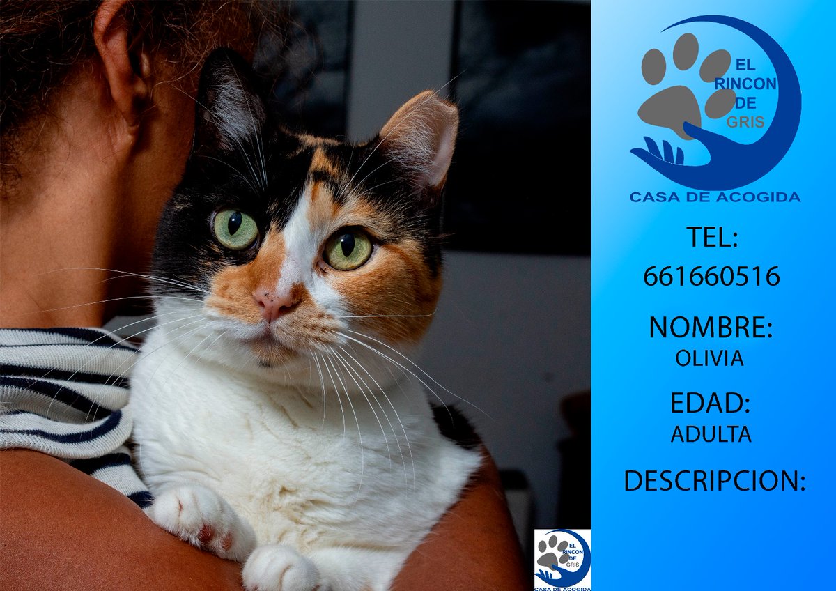 OpenEye95053629's tweet photo. #OLIVIA Cierra su refugio en
#Constanti  #Tarragona 
necesita #acogida o adopción!!
MUY URGENTE‼️🆘🆘🆘 
☎️ 661 660 516
#XarxaCatalunyaAdopcions 
#XarxaBarcelonaAdopcions 
#XarxaTarragonaAdopcions https://t.co/aEvtb86nQz