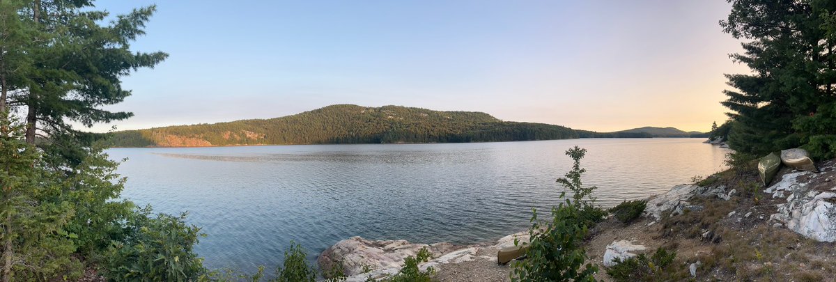 Jamison Steeve tweet media