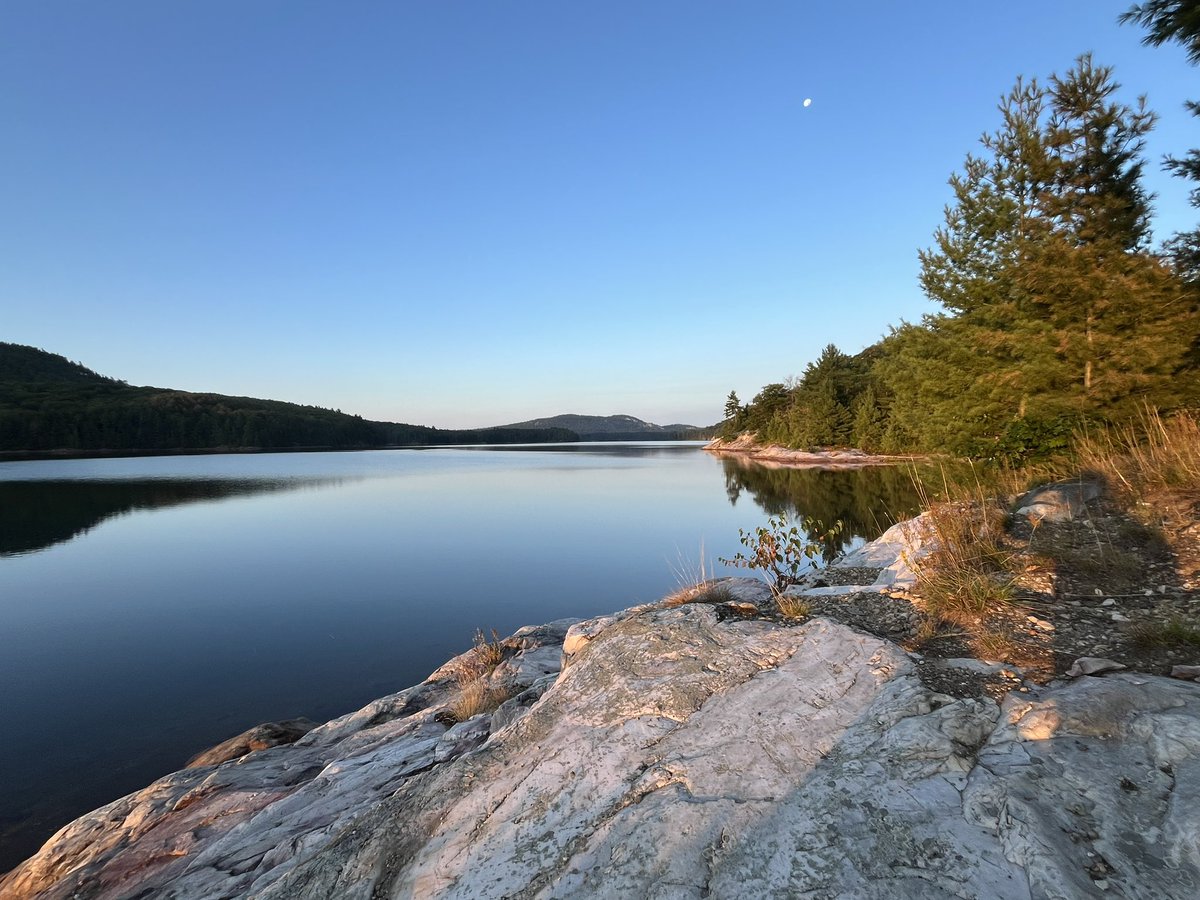 Jamison Steeve tweet media