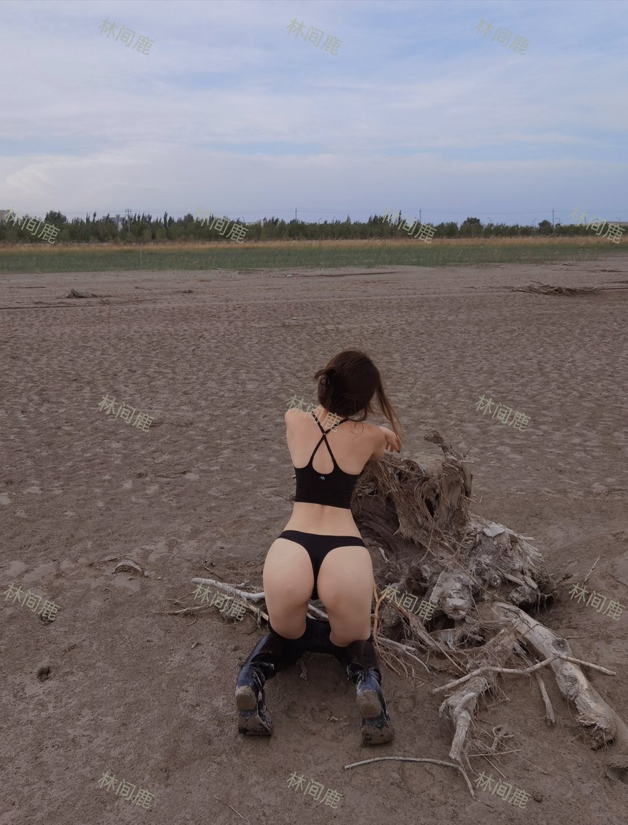 林间鹿 tweet media