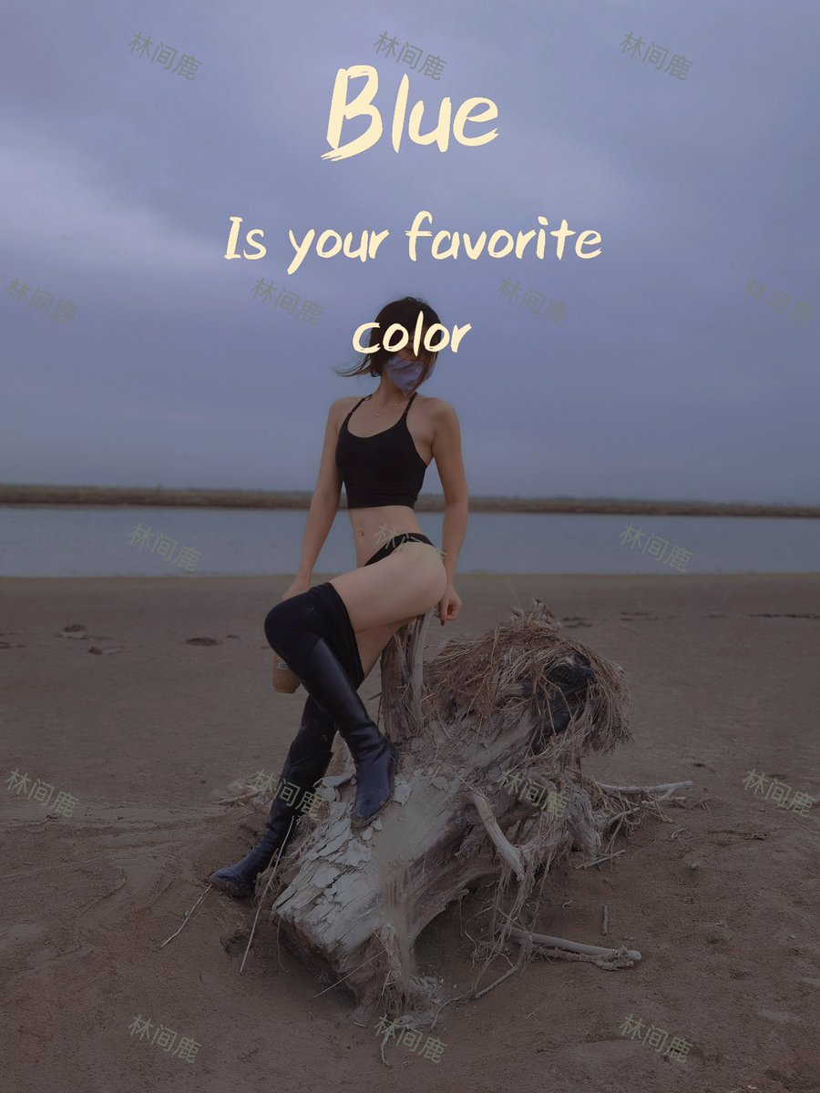 林间鹿 tweet media