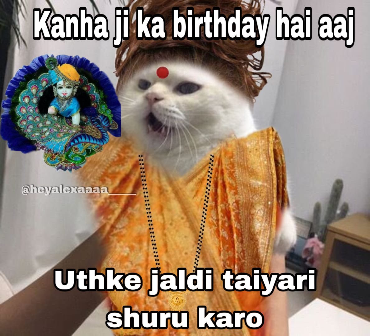 heyalexaaaa___'s tweet photo. #krishnabirthday #krishnajanmashtami2024 https://t.co/MlAp5SUr7G