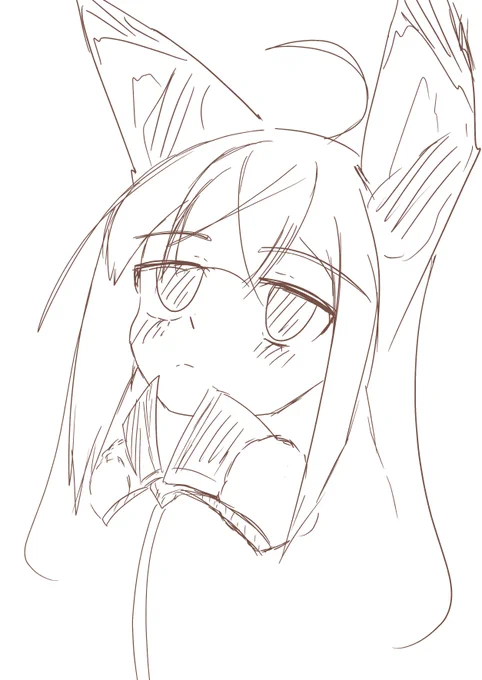 (⌒v⌒)おはようございます 