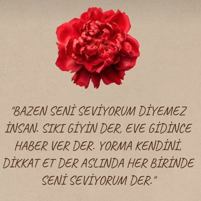 MASÖR MERT (@mertkut88858959) on Twitter photo 