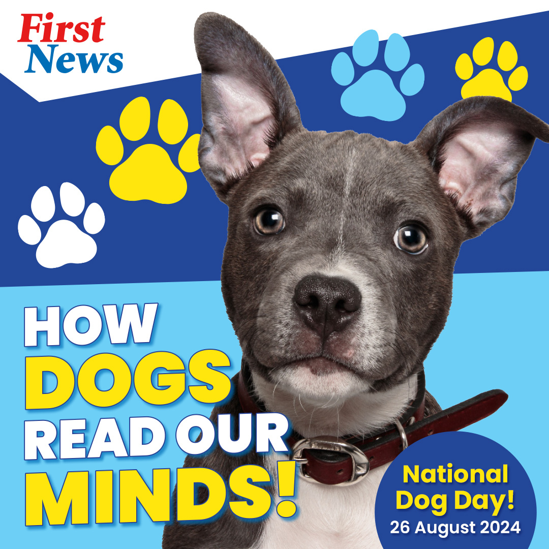 First News 🗞️❤️💙 (@first_news) on Twitter photo It's National Dog Day! 🎉
Have you ever wondered if your dog can read your mind? 🐶
Grab this week's issue of First News and find out how they use their ears, nose and eyes to understand us! 🤯
<a href="/cowfishdreams/">Terrie Chilvers</a> It's National Dog Day! 🎉
Have you ever wondered if your dog can read your mind? 🐶
Grab this week's issue of First News and find out how they use their ears, nose and eyes to understand us! 🤯
<a href="/cowfishdreams/">Terrie Chilvers</a>