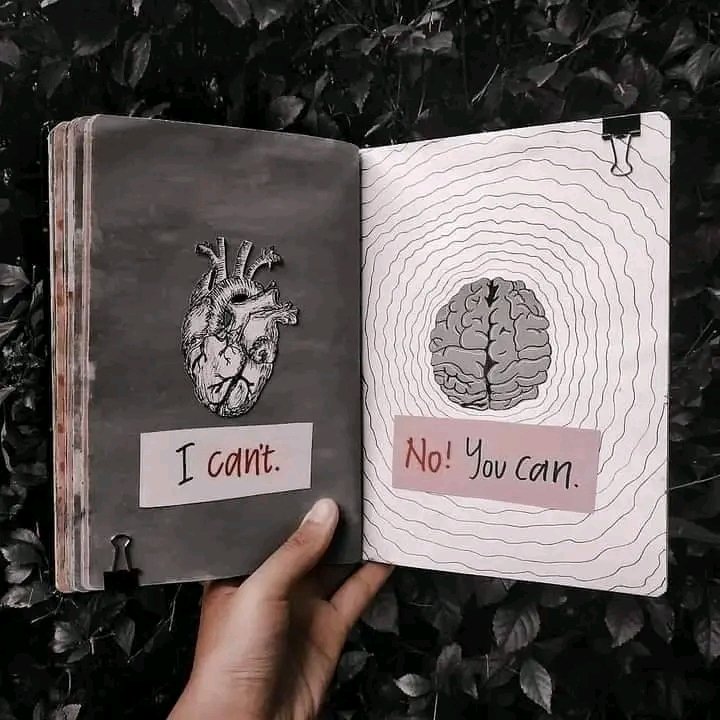 ___afrinakhi___'s tweet photo. Heart vs Brain https://t.co/HJNhDfws9l