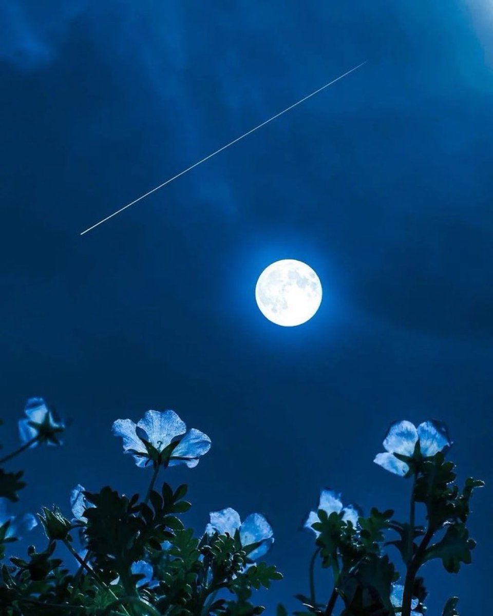 amante de la luna