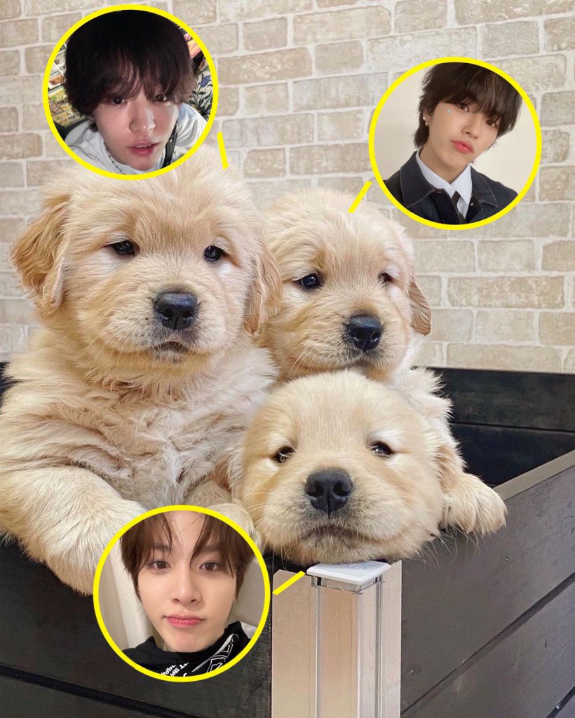 ยิบหกสิงหาวันน้องม๋าโลก 3J bok baek