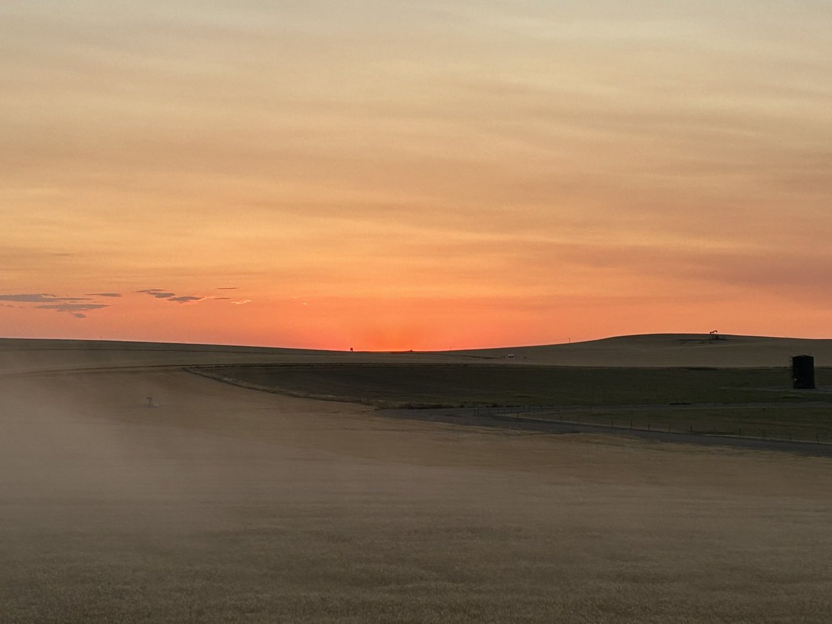 Just a little combining tonight with a little dust and a perfect sunset for the first of the 2024 harvest