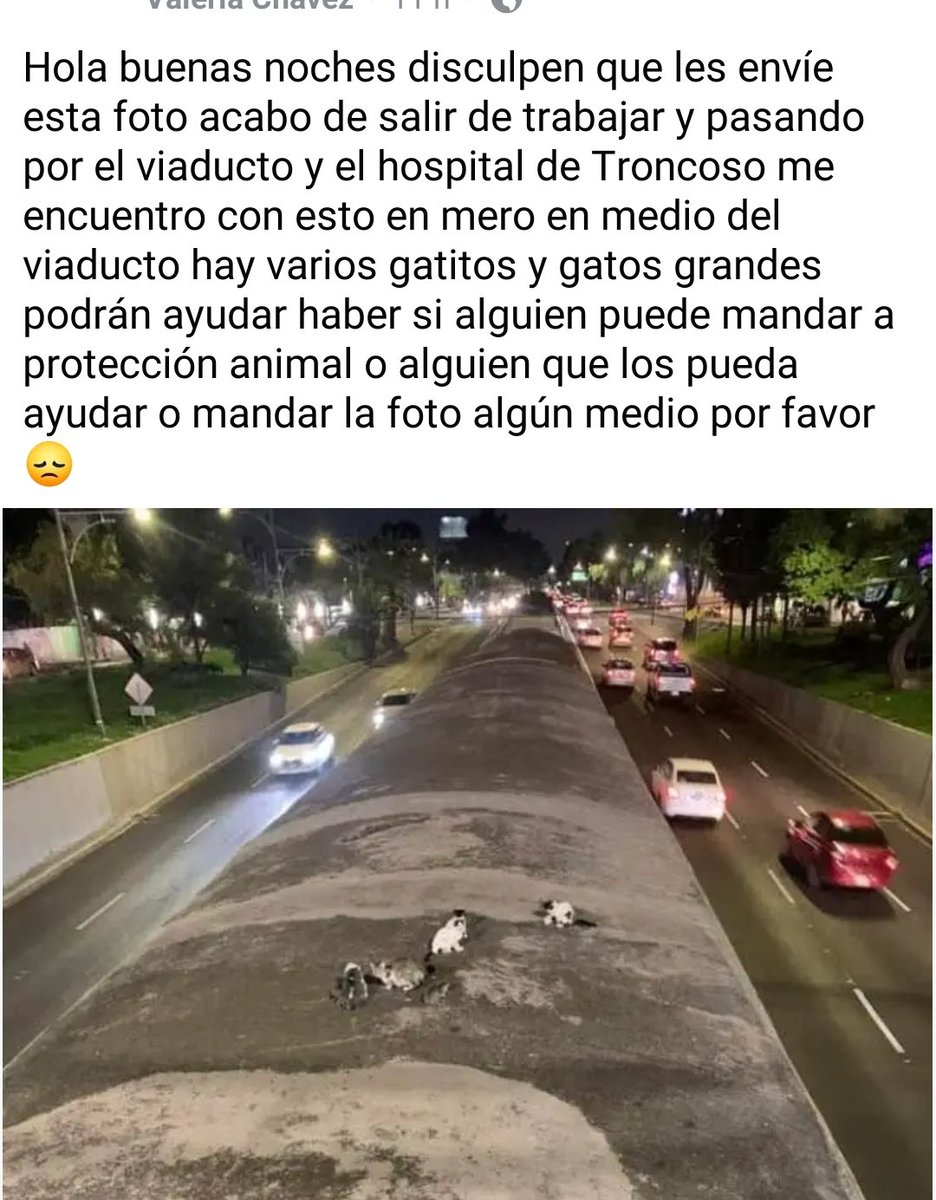 LicAnimalista's tweet photo. Desde hace más de un año se pidió apoyo a la Brigada de Vigilancia Animal de @SSC_CDMX @UCS_GCDMX para atender esté caso, sin embargo vemos con tristeza que no actuaron. Atención @PabloVazC https://t.co/ARd8gZ4fwY