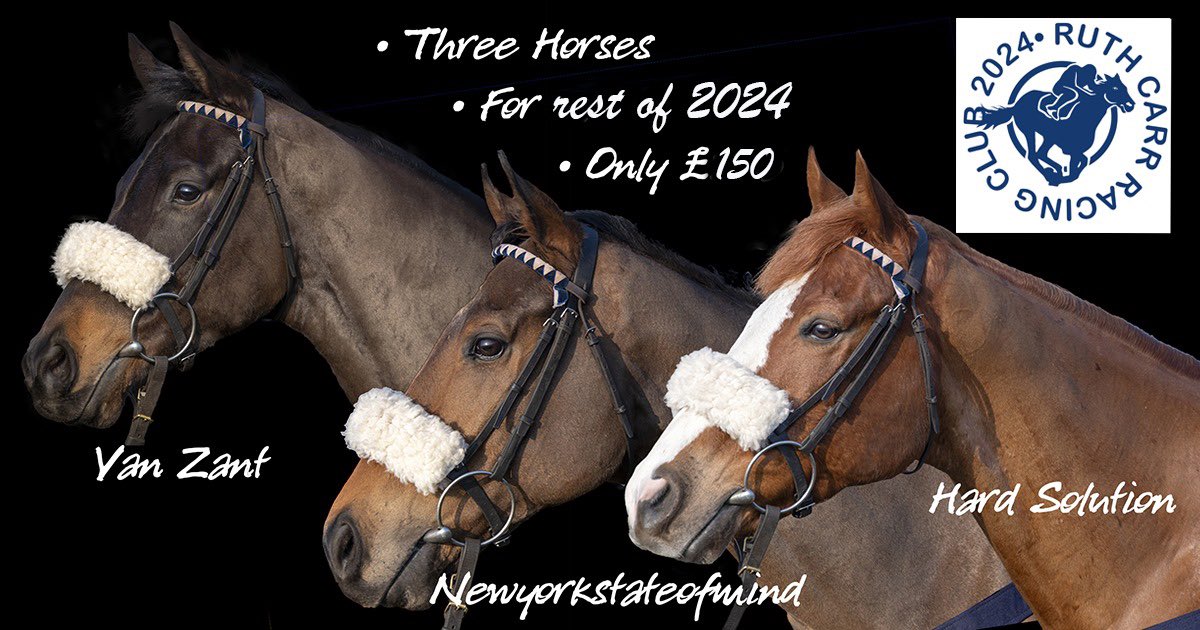 RuthCarr1's tweet photo. Bank Holiday deal!! Three horses for the rest of 2024 for only £150. Join our Racing Club to be part of the fun! Regular updates, pre and post race reports, video and photos, go to the races as an owner and join our yard visits./racing-club. https://t.co/2AZOhdjD6J