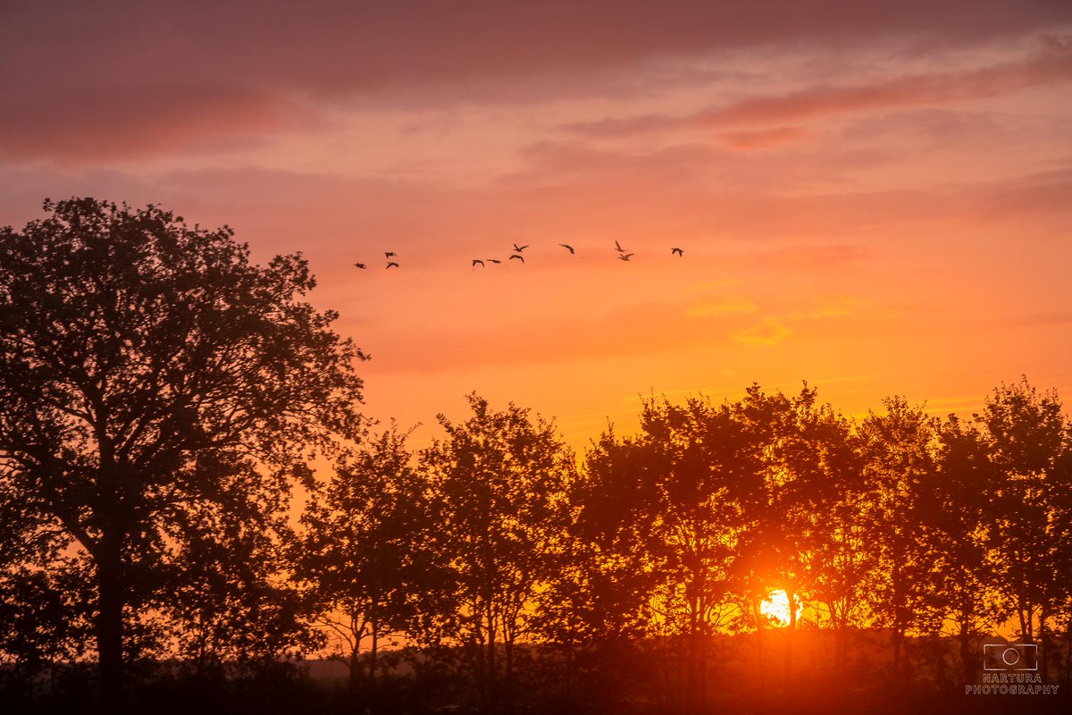 E_van_den_Ham's tweet photo. Morgen rondje #Vledder #Wapse voor @bkfotobetsy https://t.co/g4ZGAw7MaN