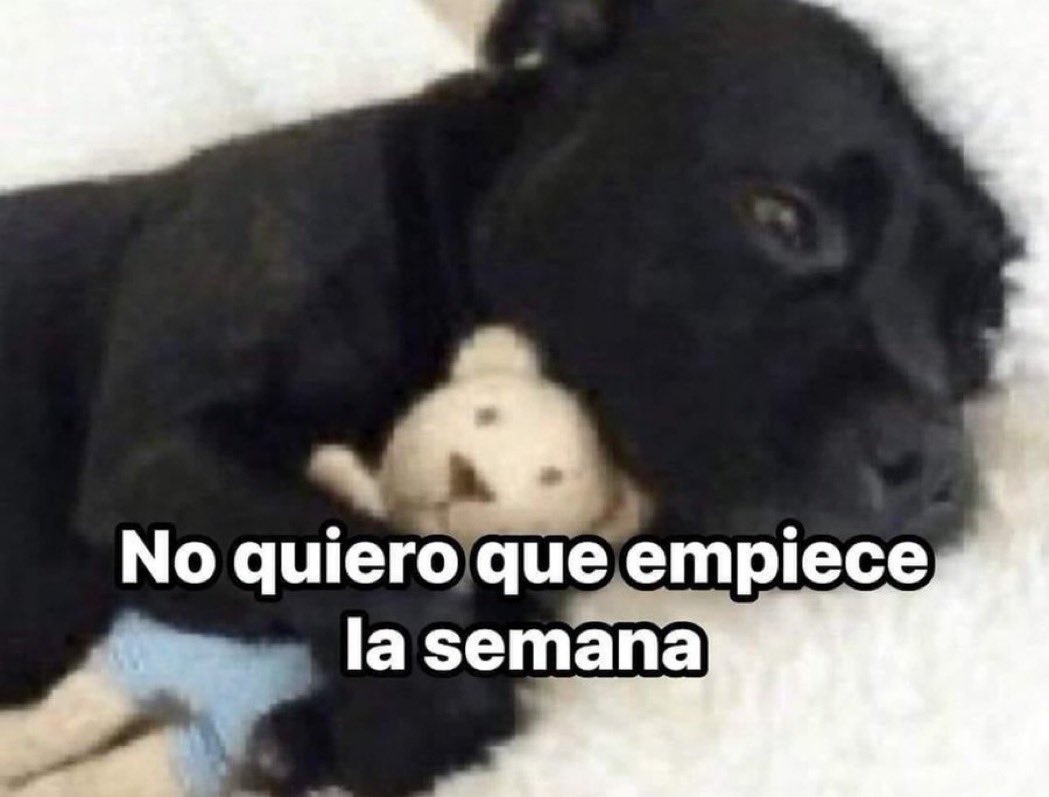 Guarromantico_'s tweet photo. No quiero 🥺 https://t.co/h5D6tIgk4b