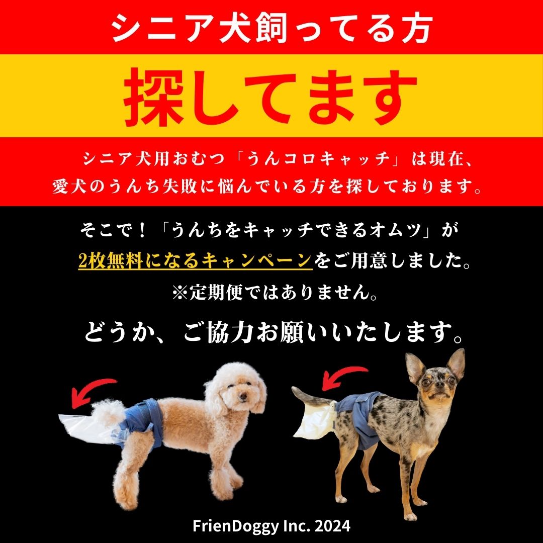 手作り SSサイズ お留守番・シニア犬介護用 84枚入りオムツ いく 手作り SSサイズ お留守番・シニア犬介護用 84枚入りオムツ いく