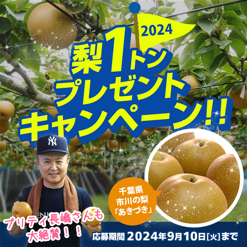 toretorestore's tweet photo. 🔱トレードトレード合同 #プレゼント企画 🔱

＼＼千葉の梨 #あきづき 合計1トンプレゼント！／／

新高・豊水・幸水の3品種のいいとこどり新品種😍シャリシャリ食感とジューシーでフルーティーな甘み💕ドーンとプレゼント、総合計1トン😆

📢応募方法
1️⃣@toretorestoreをフォロー
2️⃣この投稿を いいね+リポスト
3️⃣応募方法をDMでご案内 ✅要応募

📅応募期間 2024年9月10日(火）
👉当選発表は、当選者へ直接メールでお知らせいたしますので、メールアドレスの記載を忘れないようご注意ください。

#懸賞