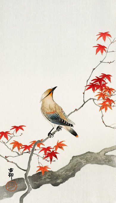EstherHawdon's tweet photo. "My legacy... 
 What will it be? 
 Flowers in spring, The cuckoo in summer,
 And the crimson maples of autumn."  
           ― Ryokan Taigu 
 
(images: Koson Ohara) https://t.co/elp7iX5TcL