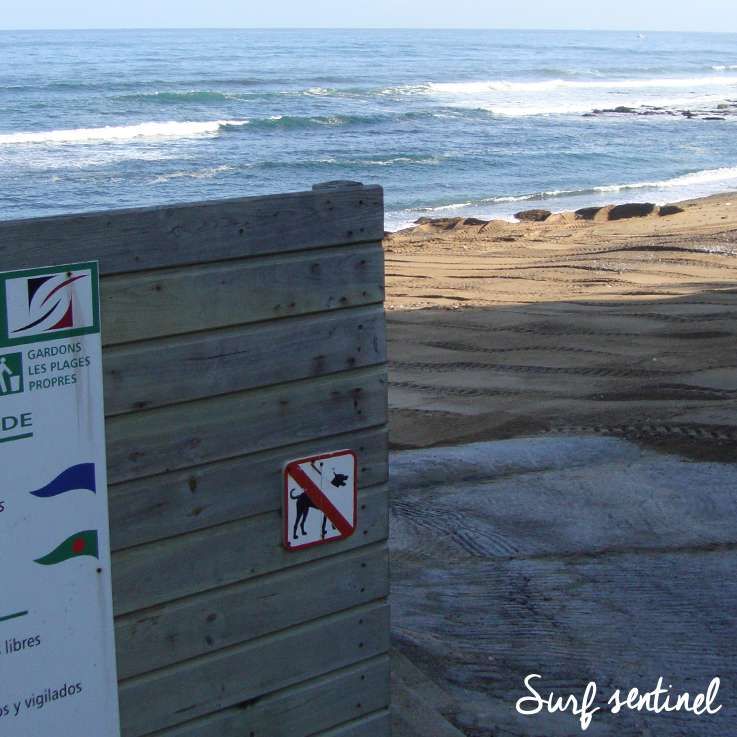 SurfSentinel tweet picture