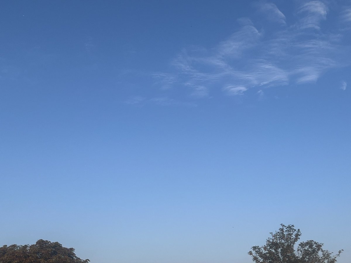 Pierre Mawas tweet media