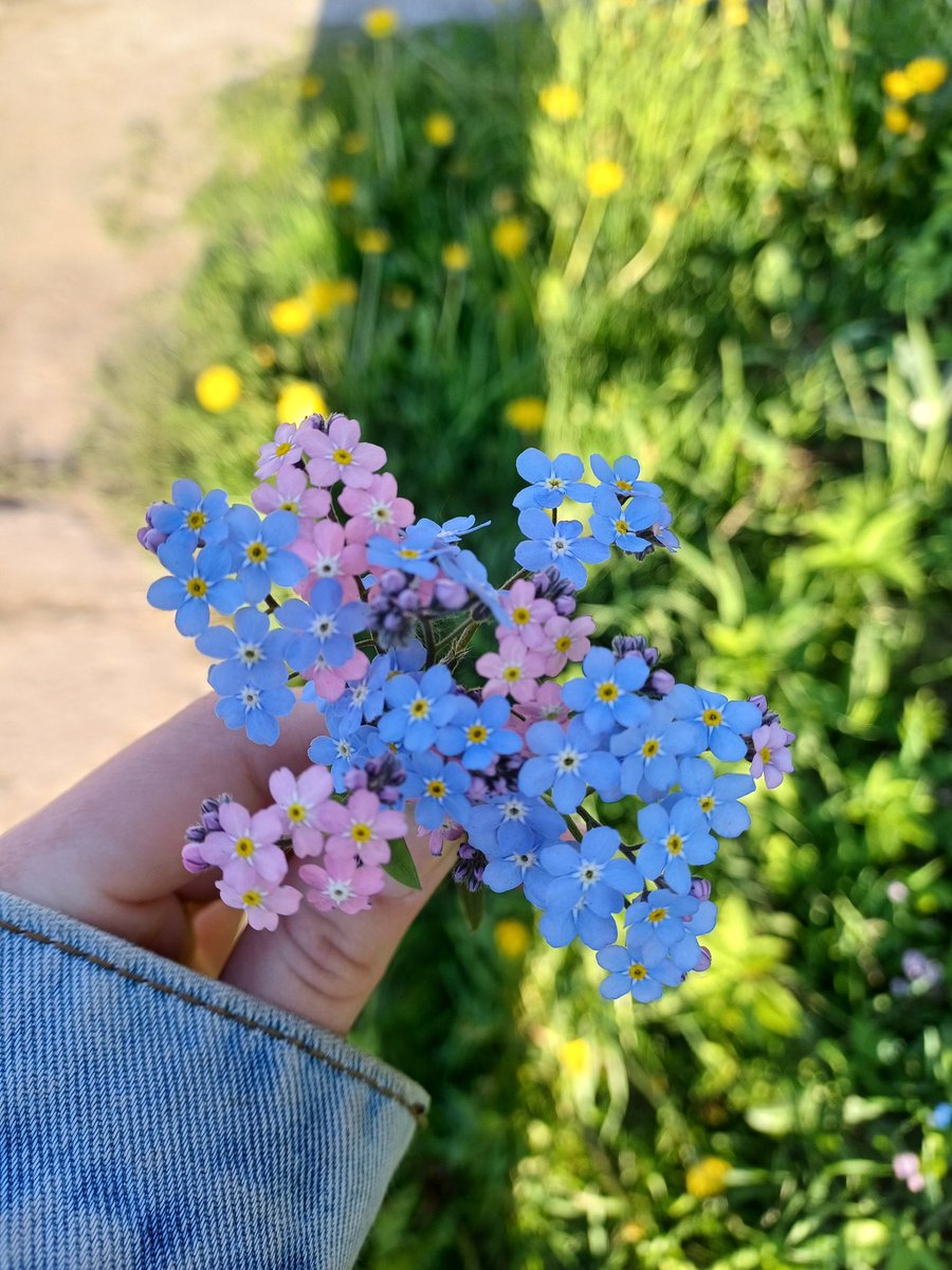 Periplan0menos's tweet photo. #FlowersForYoongi 🌸✨️ https://t.co/H3sMOt0Zap