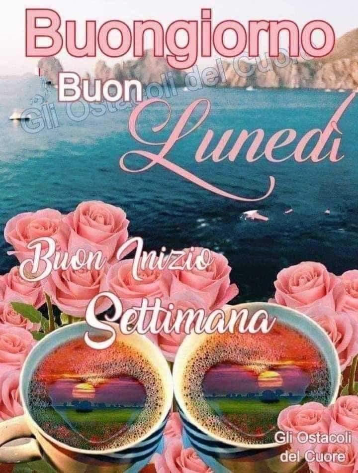 RITABIANCHi56 tweet media