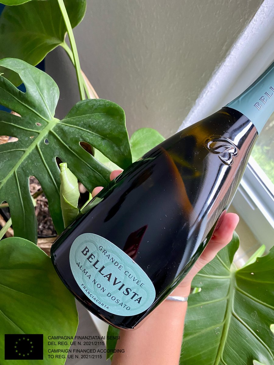 Step into a world of elegance and tradition with Bellavista. Their wines are a testament to the intimate relationship between man and land, resulting in a symphony of flavors that perfectly capture the essence of Franciacorta 🌿🥂 #Italianwines #Bellavista #Franciacorta #Saitama