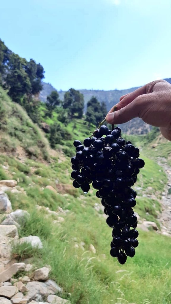 BOYwdBLACK_coat's tweet image. Pakistan&apos;s coastline, you have my ❤️ 

 Crystal-clear waters, majestic mountains, and warm hospitality. Perfect weather, delicious food, and memories to last a lifetime.
Janan Watan

#Pakistan #SeasideVibes #FriendshipGoals #traveldiaries2024