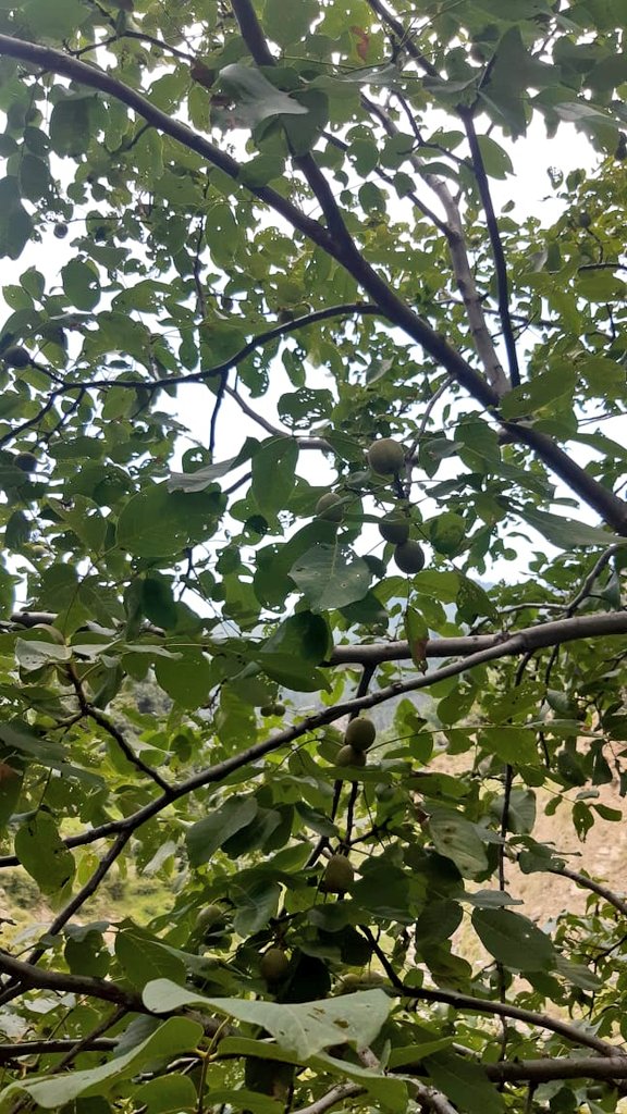 BOYwdBLACK_coat's tweet image. Pakistan&apos;s coastline, you have my ❤️ 

 Crystal-clear waters, majestic mountains, and warm hospitality. Perfect weather, delicious food, and memories to last a lifetime.
Janan Watan

#Pakistan #SeasideVibes #FriendshipGoals #traveldiaries2024