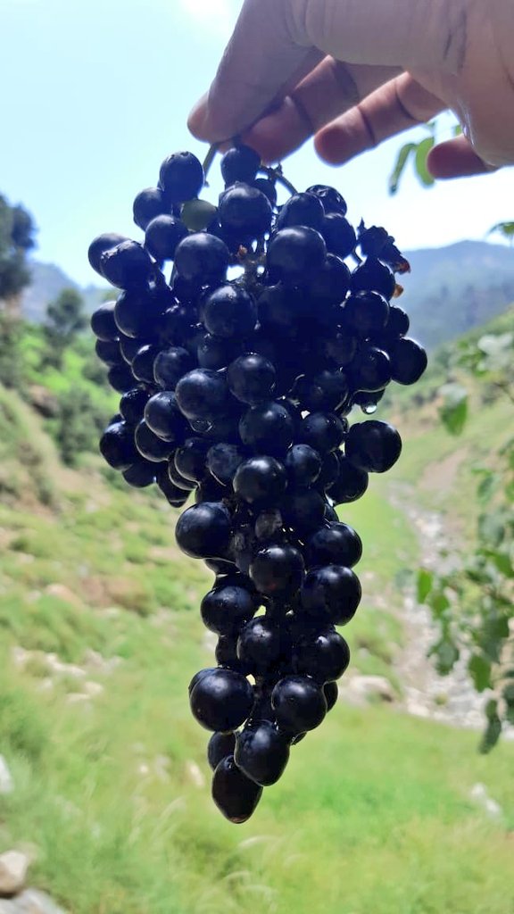 BOYwdBLACK_coat's tweet image. Pakistan&apos;s coastline, you have my ❤️ 

 Crystal-clear waters, majestic mountains, and warm hospitality. Perfect weather, delicious food, and memories to last a lifetime.
Janan Watan

#Pakistan #SeasideVibes #FriendshipGoals #traveldiaries2024